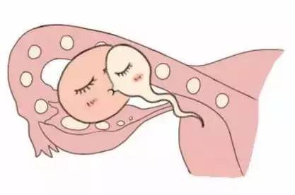 医生